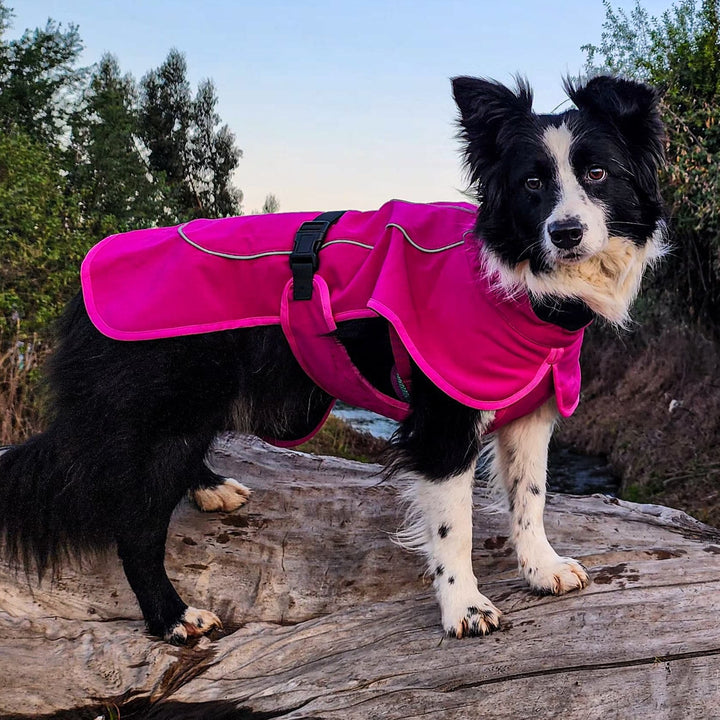 Impermeable Perro Windhook - Fucsia-  Sheepdogz®