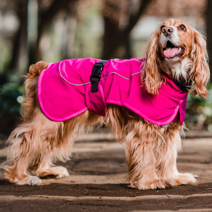 Impermeable Perro Windhook - Fucsia-  Sheepdogz®