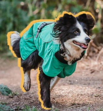 Impermeable Perro Windhook - Verde-  Sheepdogz®