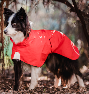 Impermeable Urbano Perro Fitz Roy  Naranja-  Sheepdogz®