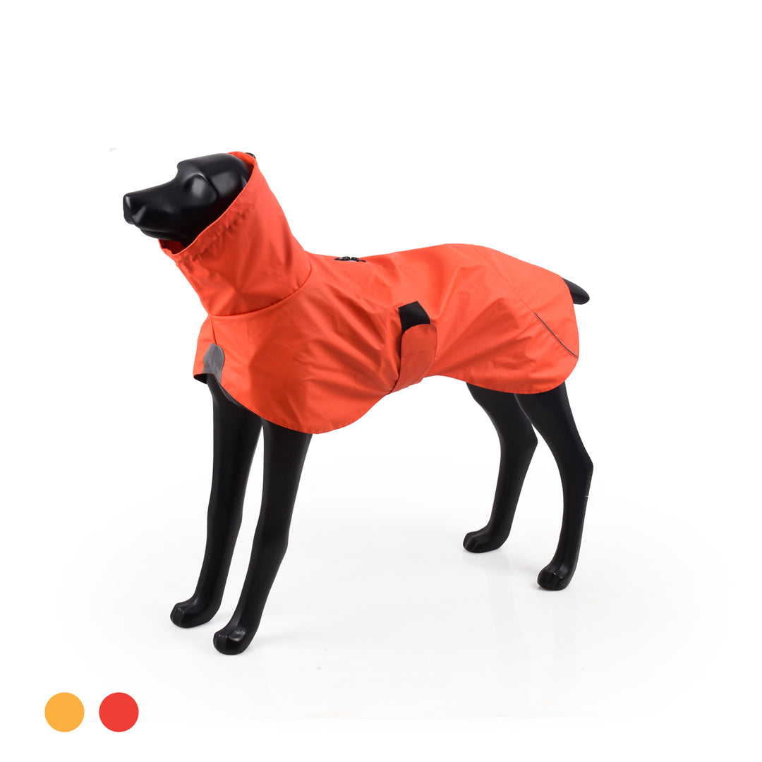 Impermeable Urbano Perro Fitz Roy  Naranja-  Sheepdogz®