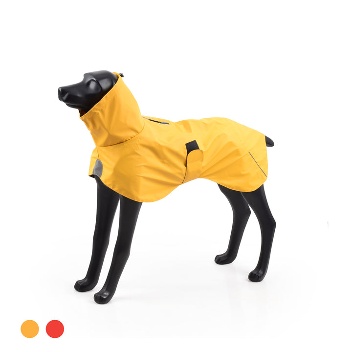 Impermeable Urbano Perro Fitz Roy -  Amarilla - Sheepdogz®