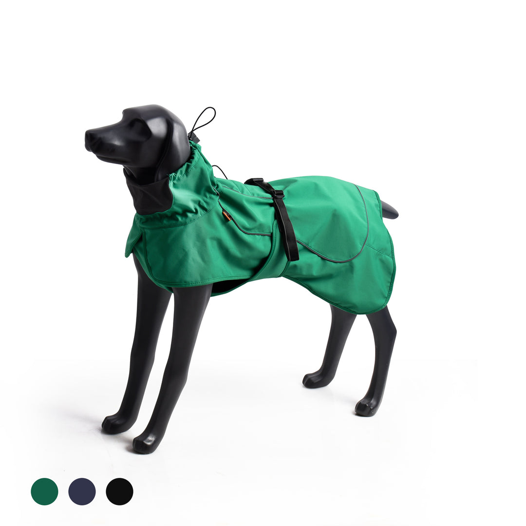 Impermeable Perro Windhook - Verde-  Sheepdogz®